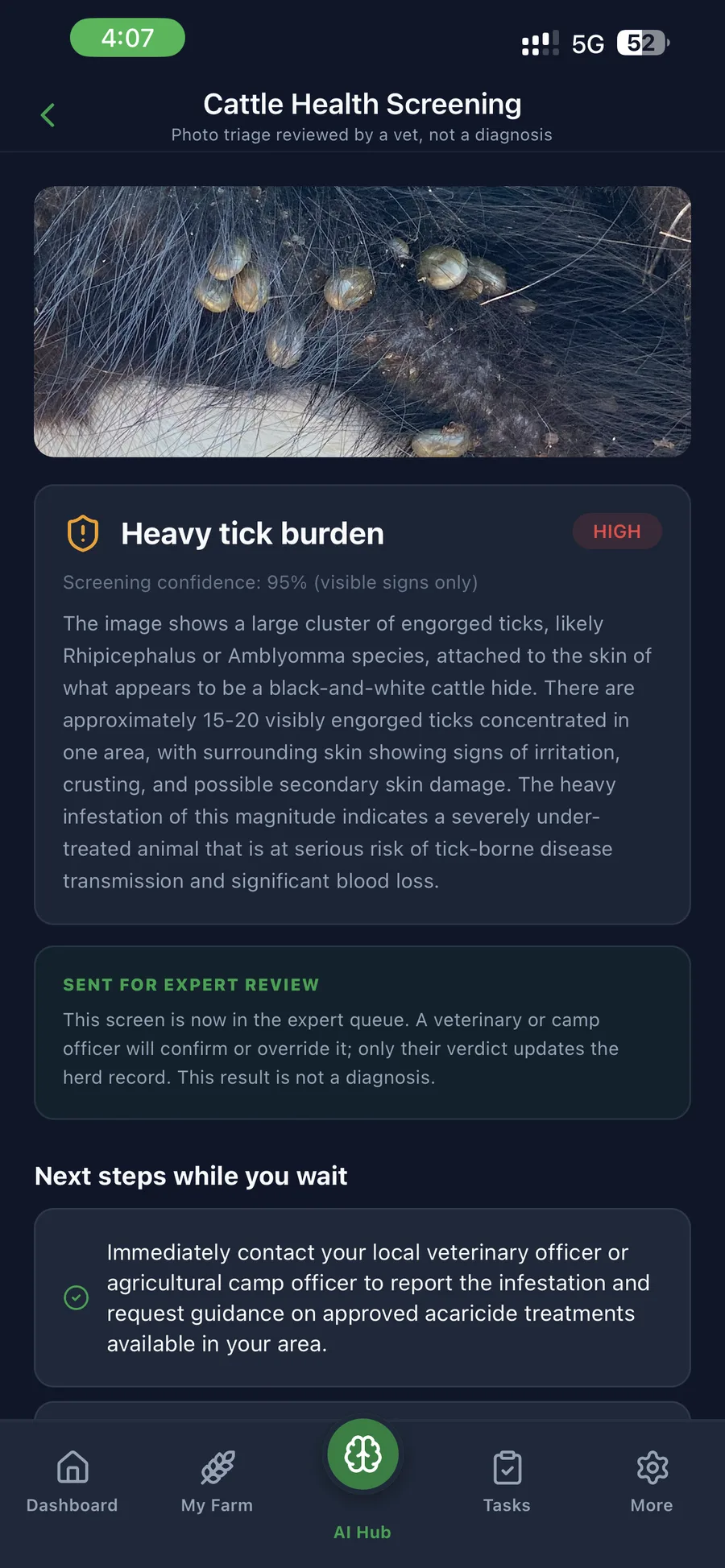 AI cattle health screening explicitly framed as triage, sent for expert review