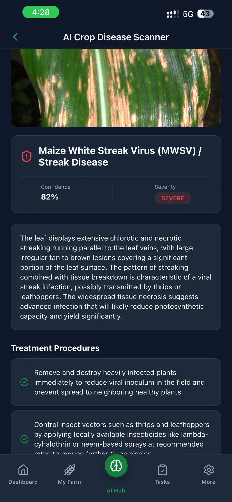 AI crop disease scanner identifying Maize White Streak Virus with confidence and severity